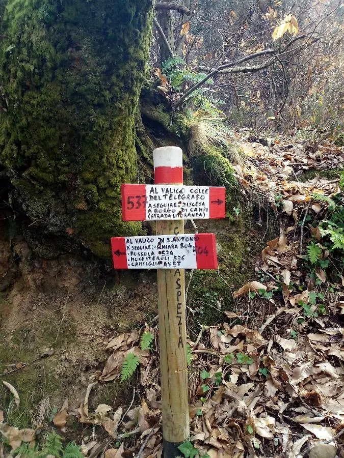 Da Greta Villa La Spezia 0*,  Olaszország